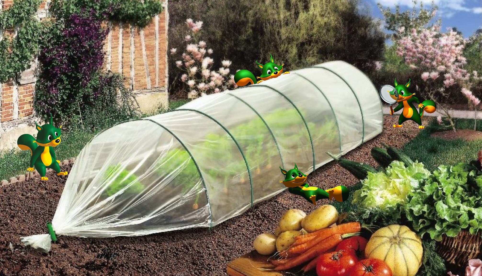 Így védd meg a palántákat a tavaszi hidegtől – egyszerű kertészeti megoldások