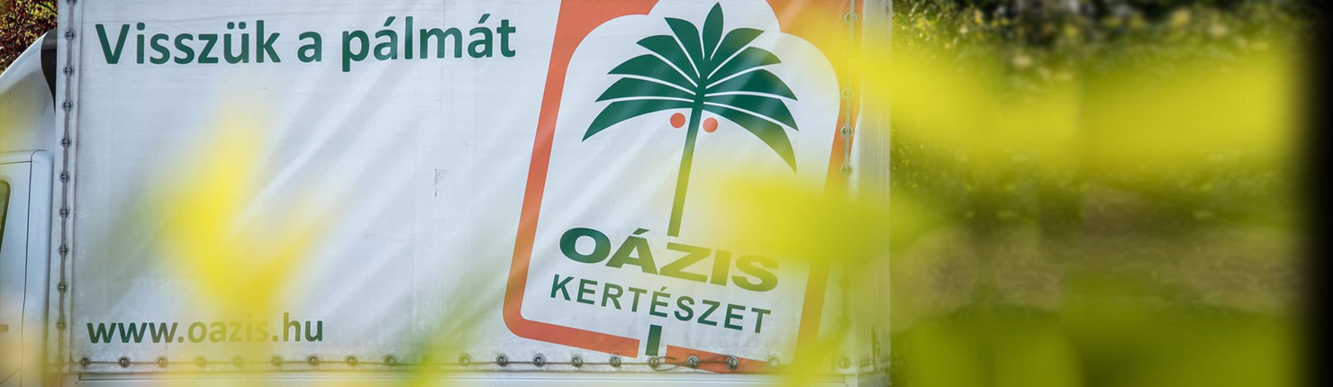 Kiszállítás