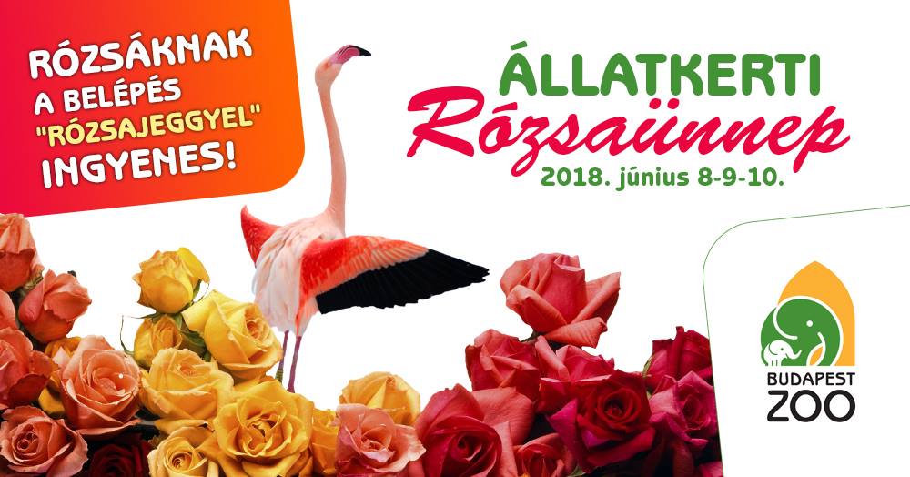 Rózsaünnep az Állatkertben